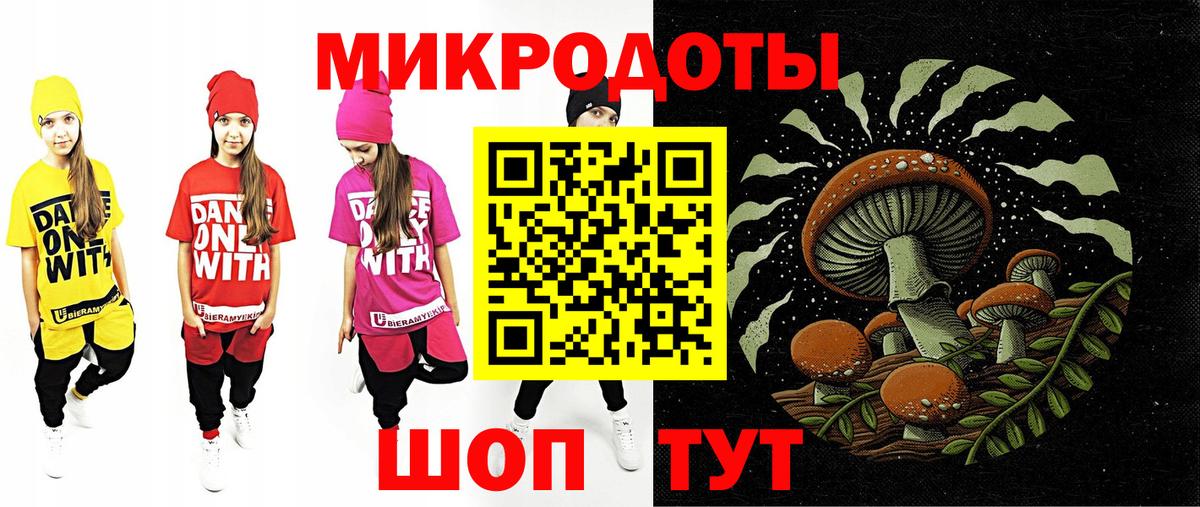 Псилоцибиновые грибы Cubensis Лабытнанги