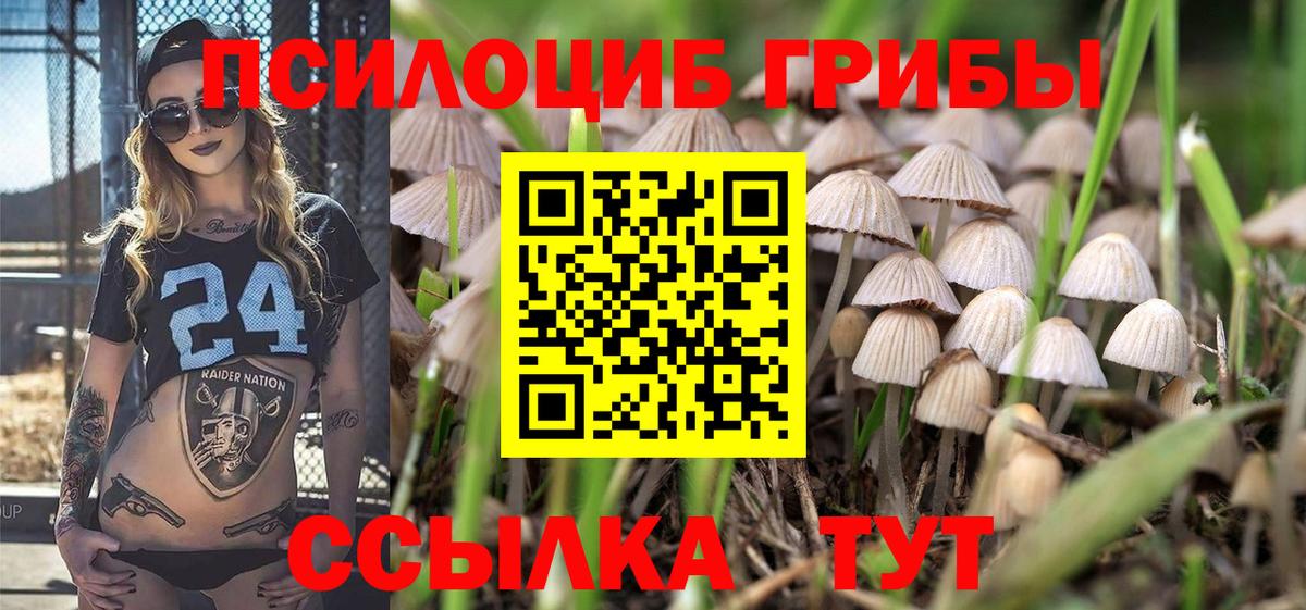 Лабытнанги  дарнет шоп  Вход с VPN  Псилоцибиновые грибы ЛСД 
